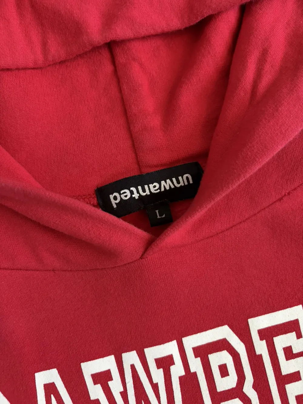 unwanted - Strawberry Mansion Red Hoodie 22x27 - Image 3