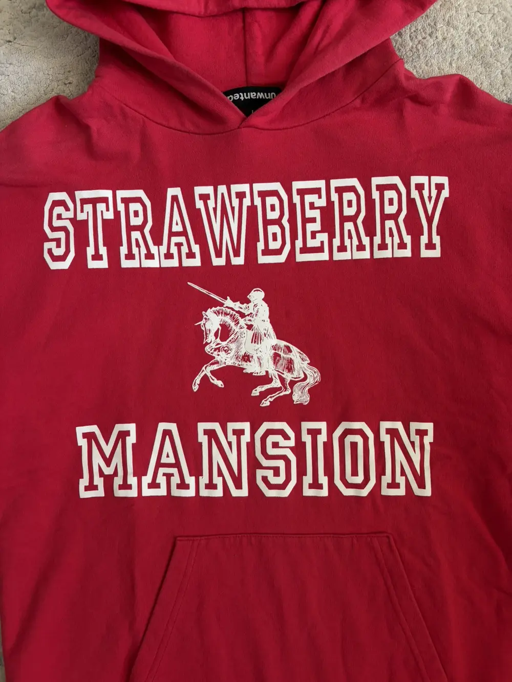 unwanted - Strawberry Mansion Red Hoodie 22x27 - Image 2